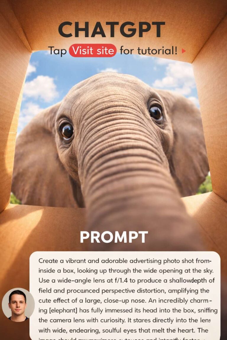 elephannt peeking from the box